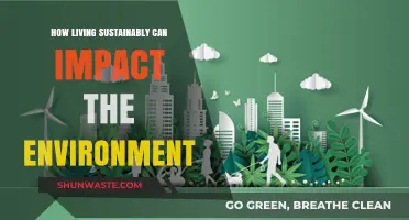 Sustainable Living: Transforming Our Planet Through Eco-Friendly Choices