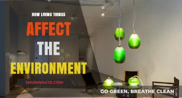 Living Things' Impact: Shaping Ecosystems and Environmental Balance