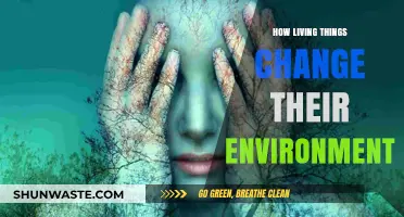 How Living Organisms Shape and Transform Their Surrounding Environments