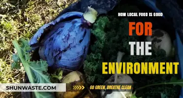 Sustainable Eating: How Local Food Benefits Our Planet and Communities