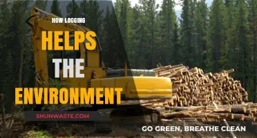 Logging's Surprising Role in Sustainable Forest Management and Conservation