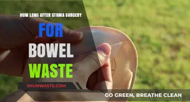 Bowel Waste After Stoma Surgery: What to Expect and When