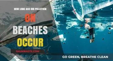 The Polluted Beach Legacy: When Did it Begin?