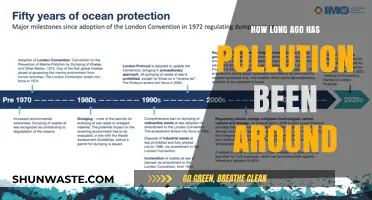 The History of Pollution: When Did It Begin?