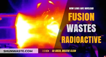 Nuclear Fusion Waste Radioactivity: Duration and Environmental Impact Explained