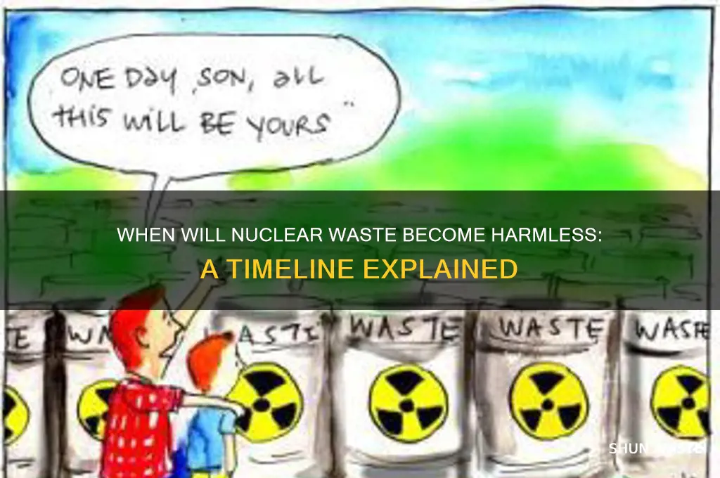 how long before nuclear waste is safe