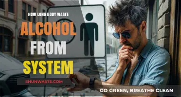 How Long Does Alcohol Stay in Your System?