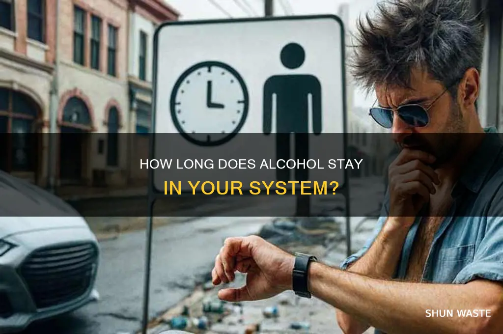 how long body waste alcohol from system