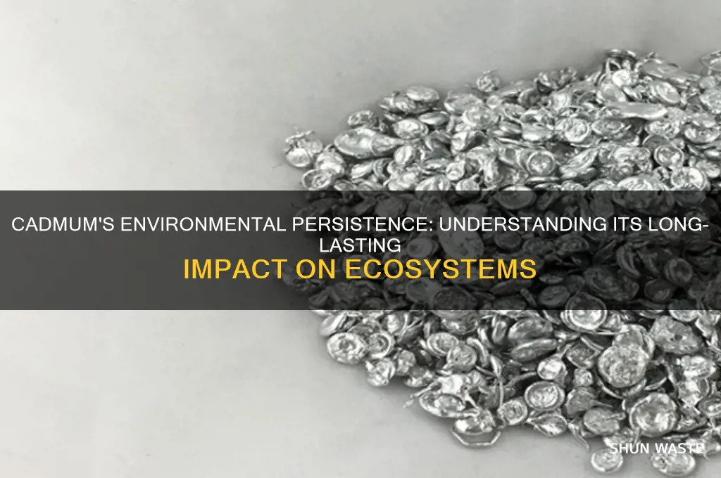 how long can cadmum remain in the environment
