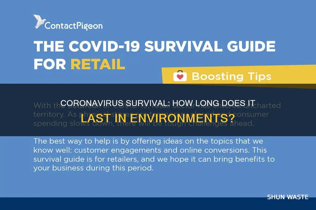 how long can coronavirus survive in environment