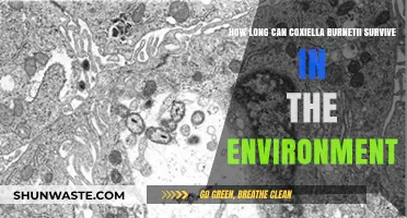 Coxiella Burnetii's Environmental Survival: Duration and Factors Explained