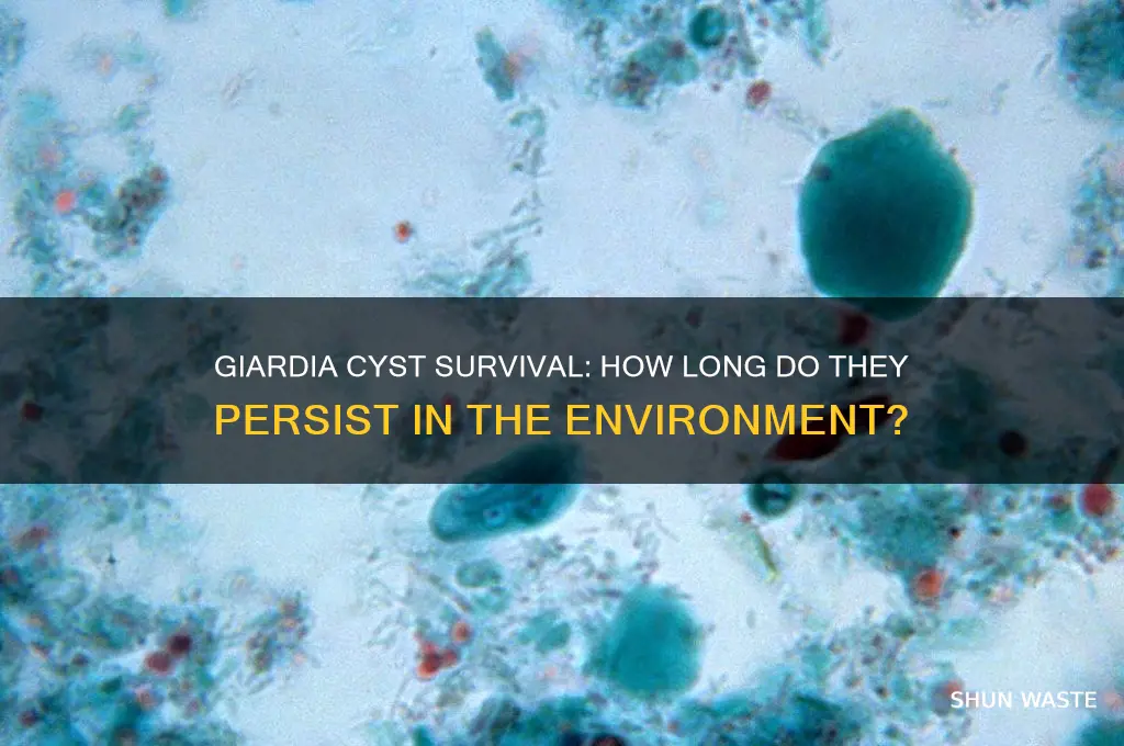 how long can giardia cyst survive in the environment