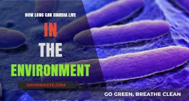 Giardia's Environmental Survival: How Long Can It Persist Outside Hosts?