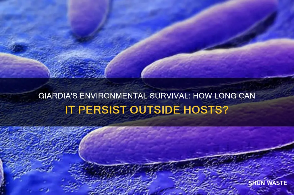 how long can giardia live in the environment