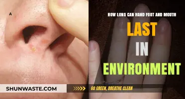 Hand, Foot, and Mouth Disease: Environmental Survival Duration Explained
