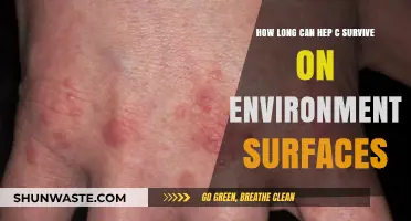 Hepatitis C Virus Survival: How Long on Surfaces?
