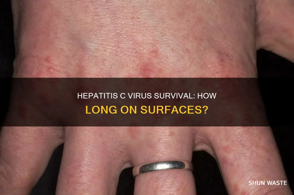 how long can hep c survive on environment surfaces