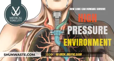 Surviving the Squeeze: Human Limits in High-Pressure Environments