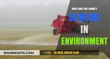Johne's Disease: Environmental Survival Duration and Persistence Explained