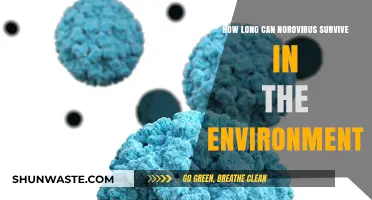 Norovirus Survival: How Long Does It Last in Environments?