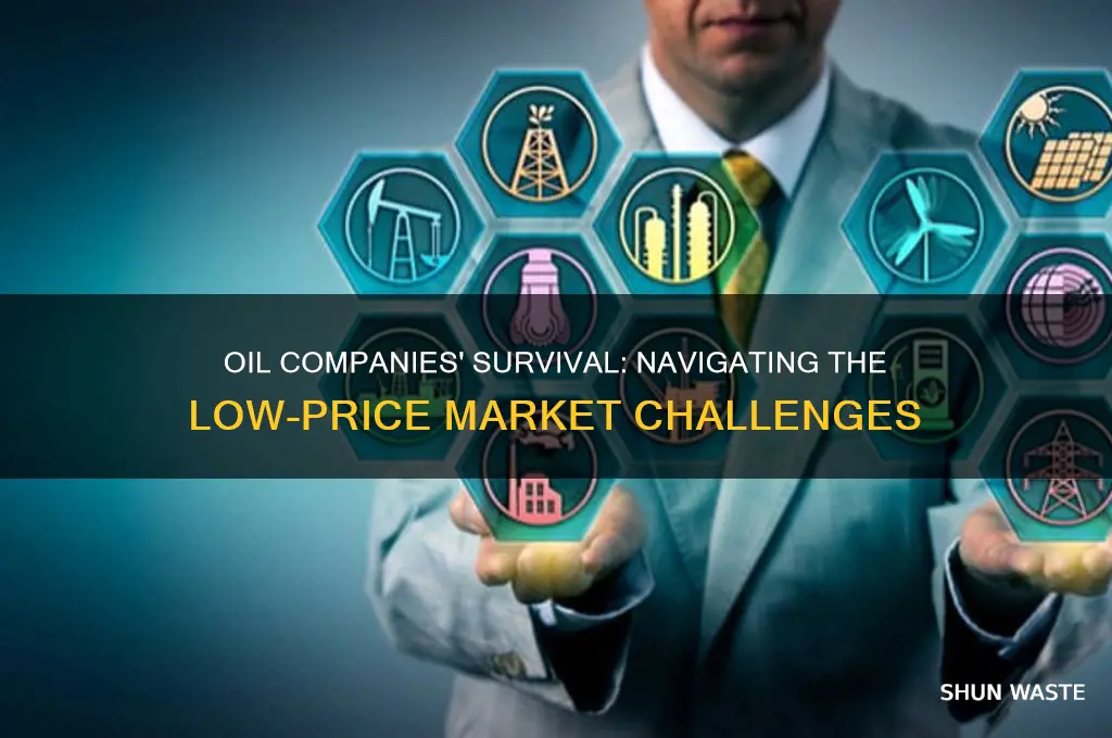 how long can oil companies last in this price environment