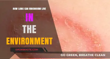 How Long Does Ringworm Survive Outside the Body?