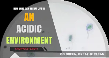 Sperm Survival in Acidic Conditions: Duration and Factors Explained