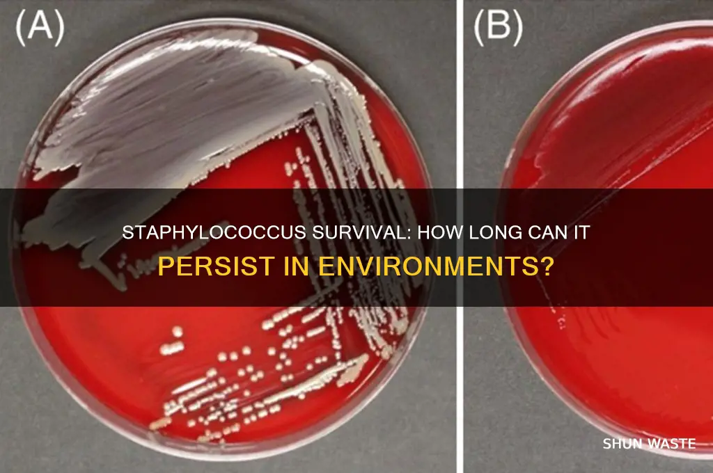 how long can staphylococcus survive in the environment