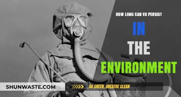 VX Nerve Agent: Environmental Persistence and Decontamination Challenges