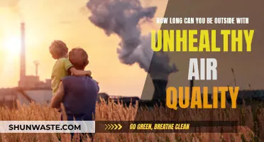 Air Quality Alert: How Long is Too Long Outside?