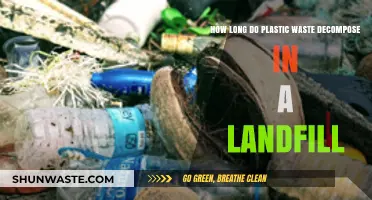 Plastic's Persistent Problem: Decomposition Timeline in Landfills Revealed