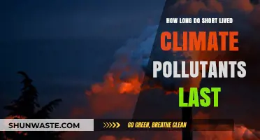 Climate Pollutants: How Long Do They Stick Around?