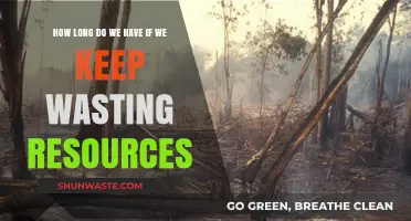 Resource Depletion Crisis: How Much Time is Left if Waste Continues?