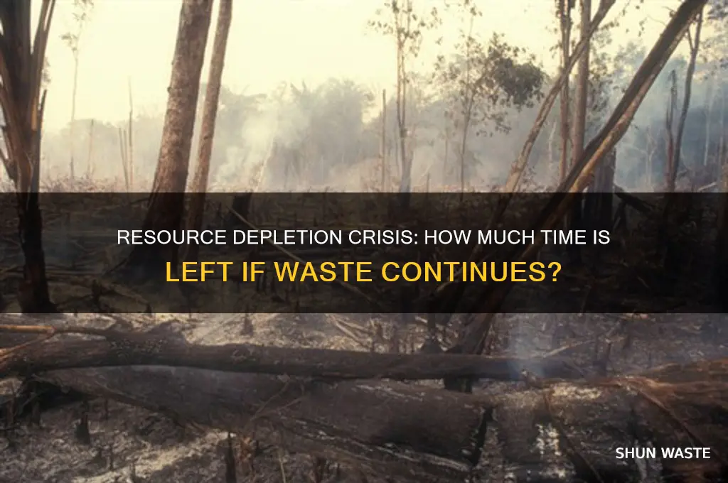 how long do we have if we keep wasting resources