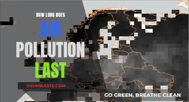 Air Pollution: Lingering Effects and Their Lifespans