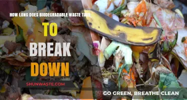 Biodegradable Waste Breakdown: Understanding Decomposition Timeframes and Factors