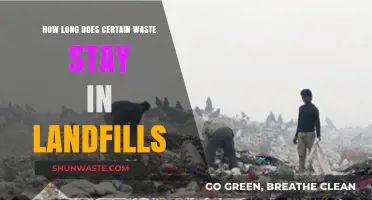 Landfill Lifespan: How Long Does Our Waste Really Last?