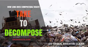 Compostable Waste Decomposition Timeline: Factors Affecting Breakdown Speed