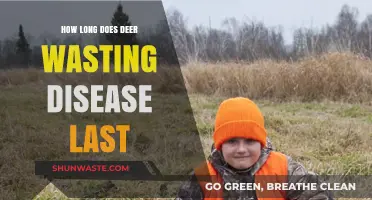 Understanding Deer Wasting Disease Duration and Its Long-Term Impact