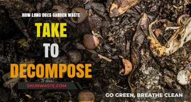 Decomposition Timeline: How Long Does Garden Waste Break Down Naturally?