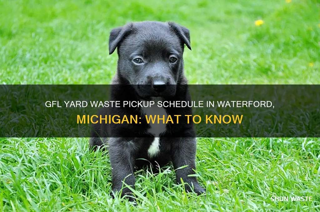 how long does gfl yard waste pickup going waterford michigan