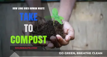 Human Waste Composting Timeline: From Toilet to Nutrient-Rich Soil
