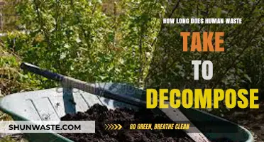 Human Waste Decomposition Timeline: How Long Does It Take?