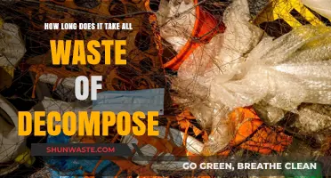 Decomposition Timeline: How Long Does Waste Take to Break Down?