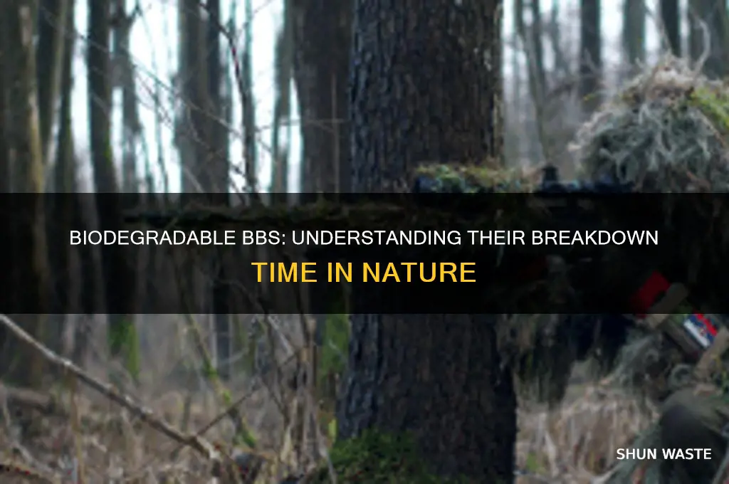 how long does it take biodegradable bb