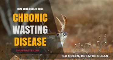 Understanding Chronic Wasting Disease Progression and Timeline in Wildlife