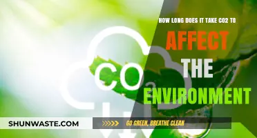 Understanding CO2's Environmental Impact: Timeframe and Consequences Explained