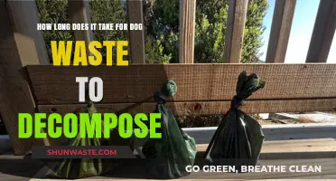 Dog Waste Decomposition: Understanding the Breakdown Process and Timeline