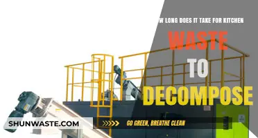 Kitchen Waste Decomposition: Timeframe for Organic Matter Breakdown Explained