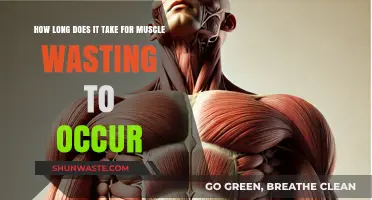 Muscle Wasting Timeline: Understanding the Onset and Prevention Strategies